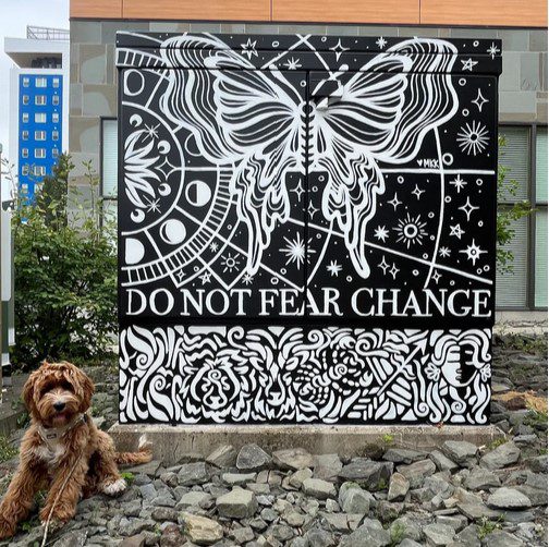 A mural with a butterfly and the words 'DO NOT FEAR CHANGE' painted in black and white.